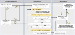 Estrategia del tratamiento de la obesidad (modificado de Bray et al.22). Algoritmo de tratamiento farmacológico, adaptado del consenso ibérico para el estudio de la obesidad de España y Portugal28. FRCV: factores de riesgo cardiovascular; IMC: índice de masa corporal.