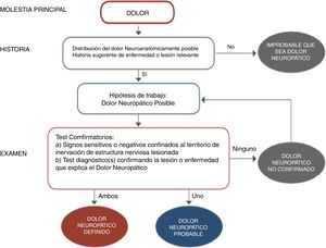Diagrama de flujo para el diagnóstico de dolor neuropático. Adaptada de Alcántara Montero10.