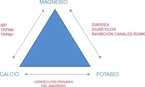 Interacción entre el metabolismo del magnesio, del calcio y del potasio.