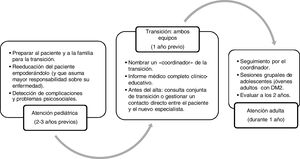 Cronograma de la transición de la atención sanitaria de adolescentes con DM2 de la atención pediátrica a la atención adulta. Adaptada de Rica et al.65.