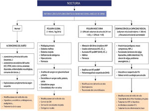 Algoritmo diagnóstico-terapéutico de la nocturia. AVP: arginina vasopresina; DM: diabetes mellitus; EPOC: enfermedad pulmonar obstructiva crónica; HbA1c: hemoglobina glicosilada; HBP: hiperplasia benigna de próstata; ICC: insuficiencia cardiaca congestiva; ITU: infección del tracto urinario; IVC: insuficiencia venosa crónica; NT-proBNP: fracción N-terminal del propéptido natriurético cerebral; SAHS: síndrome de apneas-hipopneas del sueño; VH: vejiga hiperactiva.