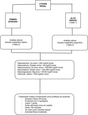 Abordaje general de la litiasis renal (elaboración propia).