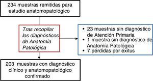 Diagrama de trabajo del estudio.