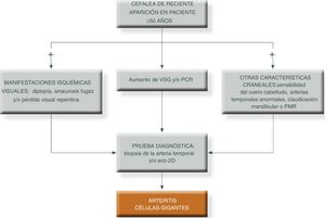 Algoritmo diagnóstico en pacientes con patrón craneal típico. PCR: proteína c reactiva; PMG: polimialgia reumática; VSG: velocidad de sedimentación globular. Fuente: elaboración propia.