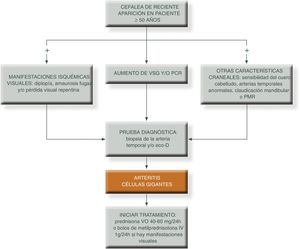 Algoritmo terapéutico. ECO-D: ecografía Doppler; IV: intravenoso; PCR: proteína c reactiva; PMR: polimialgia reumática; VO: vía oral; VSG: velocidad de sedimentación globular. Fuente: elaboración propia.