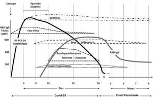 Representación temporal de las fases fisiopatológicas de la COVID-19. Representación temporal de las diferentes fases identificadas en la fisiopatología de la COVID-19: fase vírica, inflamatoria e hiperinflamatoria, junto a la tormenta de citocinas y un estado protrombótico que se imbrica con un estado de hiperactividad plaquetaria. La fase inflamatoria y el estado protrombótico pueden prolongarse durante la COVID persistente, pudiendo persistir los síntomas durante más de 8 meses. Se representan el comportamiento de las positividades en la RT-PCR y de la IgG anti-RBD, representándose los títulos (GMT) de la IgG anti-RBD en el eje vertical. Confeccionada a partir de Chang et al.8, Hojyo et al.9, Townsend et al.10, Chioh et al11, Havervall et al.12 y Nugent et al.13.