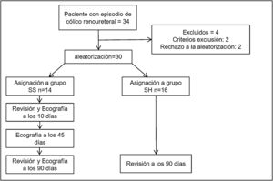 Diagrama de flujo mostrando el progreso de los pacientes dentro del estudio piloto externo. SH: seguimiento sabitual; SS: seguimiento sistemático.