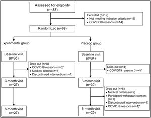 Patient inclusion flow diagram. *Patients were discontinued because was impossible to visit them because the hospitals were not carrying out face-to-face visits at the time the COVID-19 pandemic was due to hit them.