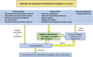 Algoritmo de sospecha diagnóstica de la insuficiencia cardíaca. BNP: péptido natriurético tipoB; IC: insuficiencia cardíaca; NT-proBNP: fragmento N-terminal del BNP. Fuente: modificado de Mallick y Januzzi8.