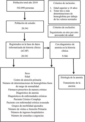 Esquema del estudio.