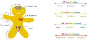 Representación resumen de los conceptos sobre diversidad sexual. Fuente: adaptada de www.itspronouncedmetrosexual.com.