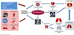 Esquema del continuum cardiopulmonar. Con autorización de: Trinkmann F. et al.
