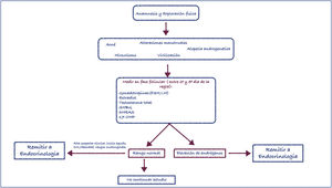 Algoritmo sugerido para la evaluación de mujeres en atención primaria que consultan por problemas por exceso androgénico. DHEAS: deshidroepiandrosterona; FSH: hormona foliculoestimulante; LH: hormona luteinizante; SHBG: globulina fijadora de hormonas sexuales; 17-OHP: 17-Hidroxiprogesterona.