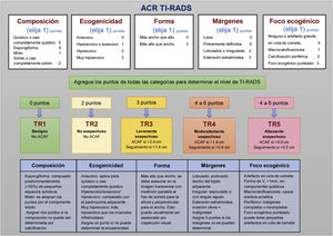 Sistema de clasificación de ACR-TIRADS. Adaptado de Tessler et al.15.