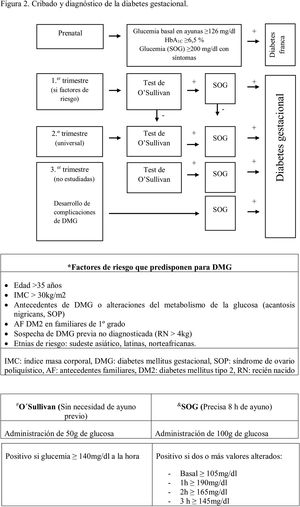 Cribado y diagnóstico de la diabetes gestacional. Adaptado de Goya y Codina22.