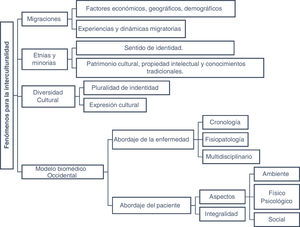 Fenómenos para la competencia intercultural en el ámbito de Atención Primaria. Fuente: Adaptada de Veliz-Rojas et al.1.