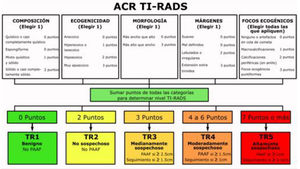 Clasificación ACR TI-RADS de los nódulos tiroideos y actitud a seguir según sus características de indicación de PAFF. Smith D, sistema de puntuación ACR TI-RADS (diagrama). Estudio de caso, Radiopaedia.org Disponible en: https://doi.org/10.53347/rID-52373.