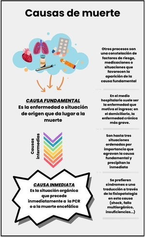 Causalidad en la defunción.