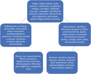 Potenciales síntomas de Long-Covid7,8.