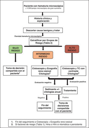 Algoritmo en la toma de decisiones: evaluación de microhematuria.