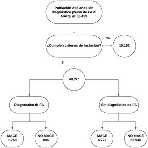 Diagrama de flujo. FA: fibrilación auricular; MACE: eventos cardiovasculares adversos mayores.