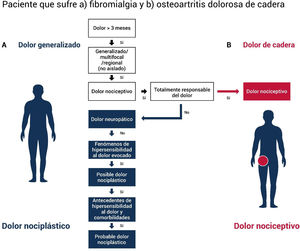 Clasificación del dolor en un paciente que padece varios tipos de dolor.