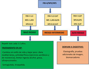 Estratificación del riesgo de fibrosis, derivación y tratamiento en atención primaria en pacientes con MASLD y obesidad. Fuente: modificado de Cusi et al.4 y Yilmaz et al.6.