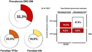 Prevalencia global de enfermedad renal crónica en diabetes mellitus (ERC-DM) y de los distintos fenotipos [TFGe disminuido (TFGe) o albuminuria elevada (Alb)] (izquierda). Prevalencia de la ERC-DM distribuida por fenotipos (derecha).