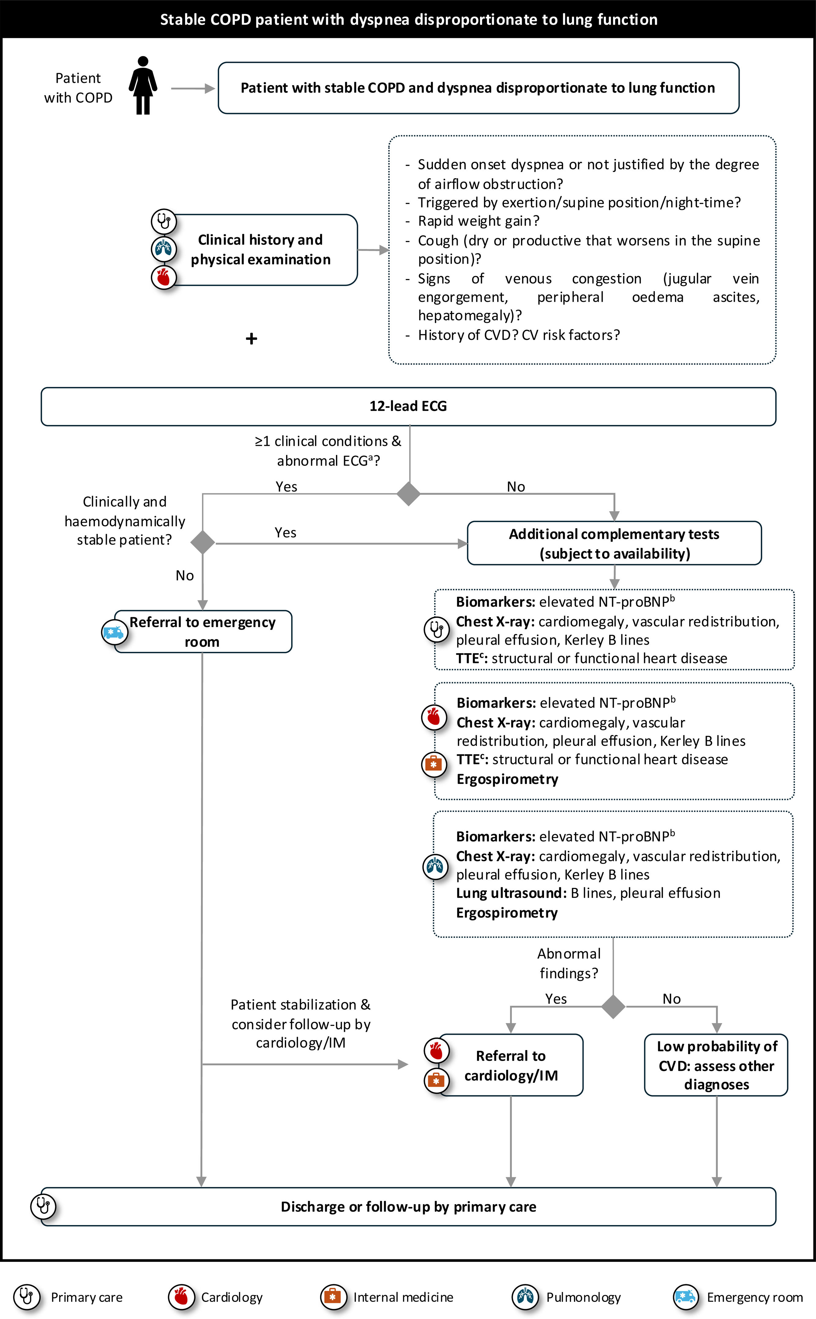 Integrated care for COPD and cardiovascular comorbidities: A ...