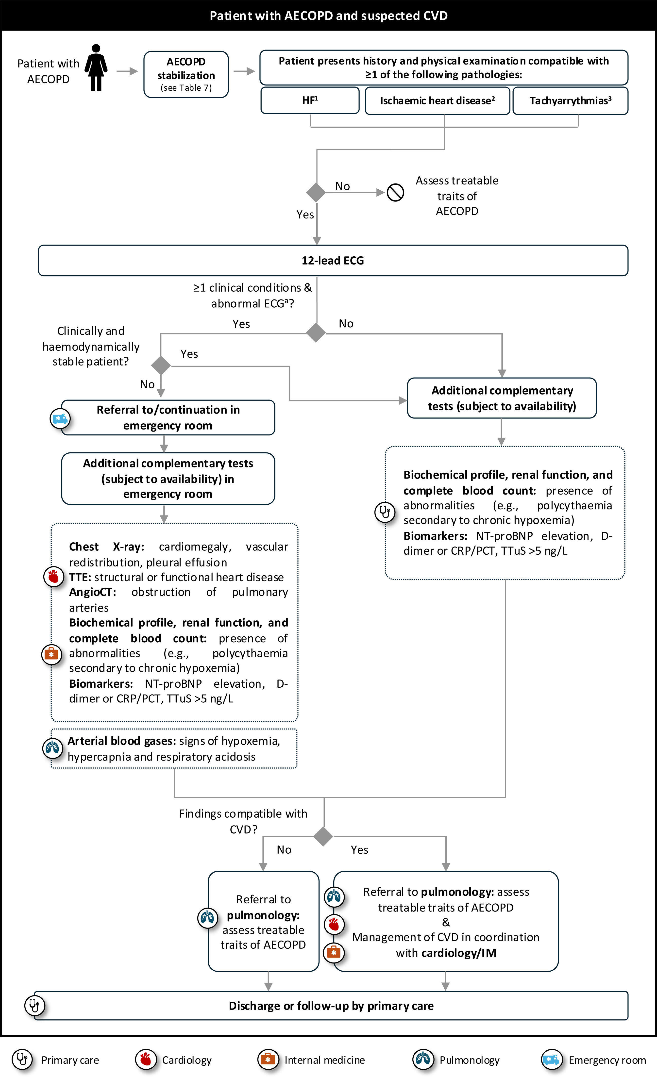 Integrated care for COPD and cardiovascular comorbidities: A ...