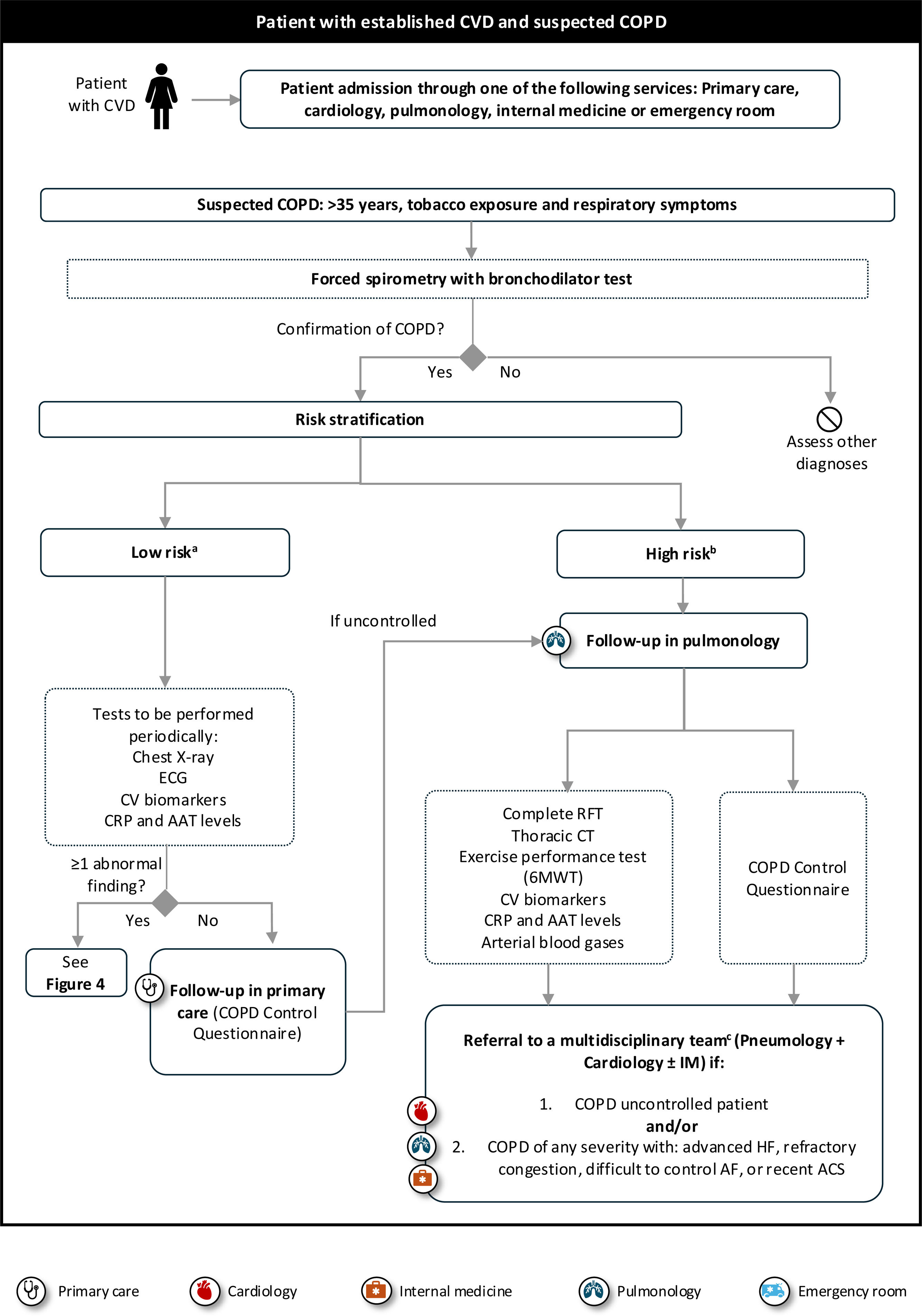 Integrated care for COPD and cardiovascular comorbidities: A ...