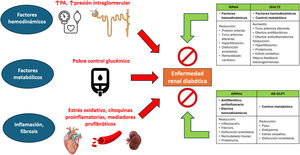 Etiopatogenia de la enfermedad renal diabética y pilares del tratamiento. AR-GLP1: agonistas receptor péptido similar al glucagón tipo 1; ARMNS: antagonistas de los receptores de mineralocorticoides no esteroideos; iSGLT2: inhibidores del cotransportador de sodio y glucosa tipo 2; iSRAA: inhibidores del sistema renina angiotensina; PA: presión arterial. Fuente: Figura realizada con datos de Khan y Lea30 y Naaman y Bakris39.