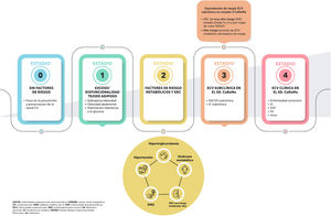Etapas del síndrome cardio-renal-metabólico (CaReMe).