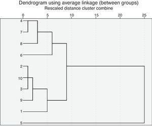 Dendrogram showing the formation of the three conglomerates.