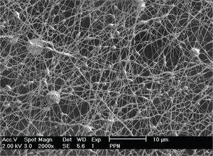 Imagen de MEB de fibras de polipirrol/óxido de polietileno/nylon-6 obtenidas por electrohilado a 2000x