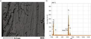 Micrografía y análisis EDS de la muestra testigo del acero al carbono del ITVH.