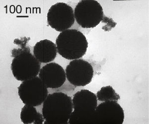 Micrografía MET del sistema de nanopartículas de Rh obtenidas a partir del precursor [Rh(acac) (1,5-C8H12)] en atmósfera de H2 y en THF en presencia de 2 eq. de ciclooctano.