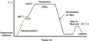 Ciclo térmico utilizado en el proceso DTR.