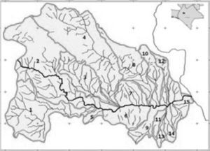 Sistema de drenaje de la cuenca del río Sabinal (Domínguez et al., 1997).