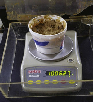 Peso de la muestra antes de sumergirla en agua