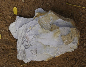 Vermiculita en estado natural (Henneberg de León, 2010)