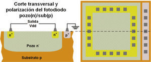 Estructura del fotodiodo utilizado en la matriz de sensado.
