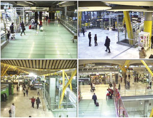 Imágenes de ejemplo donde se puede observar la baja calidad, mala iluminación, zoom, etcétera