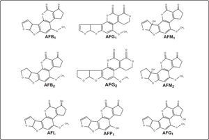 Estructuras químicas de las principales aflatoxinas[7].