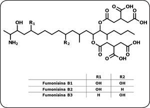 Estructura química de las fumonisinas del grupo B.