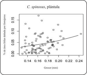 Relación entre el daño por forrajeros y el grosor de la hoja en las plántulas de Cnidoscolus spinosus.