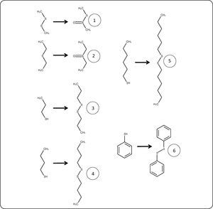 Identified products of thiol oxidation catalyzed by chloroperoxidase in a reaction system containing 10% acetonitrile. Numbering corresponds with Table II.