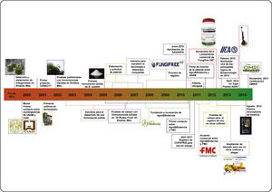 Línea de tiempo del desarrollo de Fungifree AB®. Adaptado de Galindo, et al (2013)1.