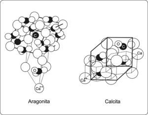 Representaciones gráficas de los sistemas de cristalización de los principales polimorfos del carbonato de calcio (CaCO3). A la izquierda, la aragonita, el sistema ortorrómbico; y a la derecha, la calcita, cristalizando en el sistema rombohédrico (Modelo no a escala; modificado de la página del William Pengelly Cave Studies Trust Museum25).