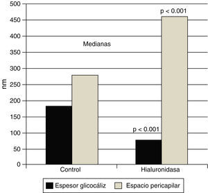 El glucocáliz endotelial protege del edema miocárdico. La infusión de hialuronidasa reduce significativamente el grosor del glucocáliz endotelial de los capilares miocárdicos de la rata, mientras que aumenta el grosor del espacio pericapilar por el edema. Se muestran los valores de las medianas (p<0.001 vs. el control sin tratamiento). Con datos de van den Bergh et al.26.